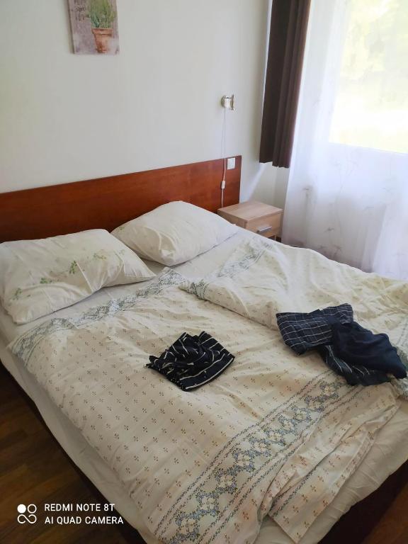 Apartmán Brčálník s balkonem room 3